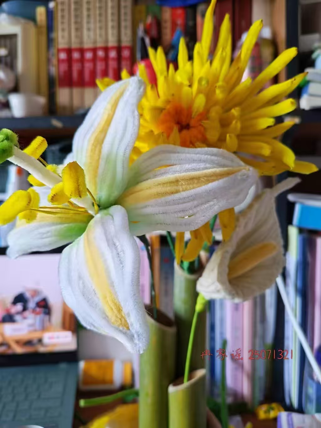 图示, 示意图

中度可信度描述已自动生成:ver1